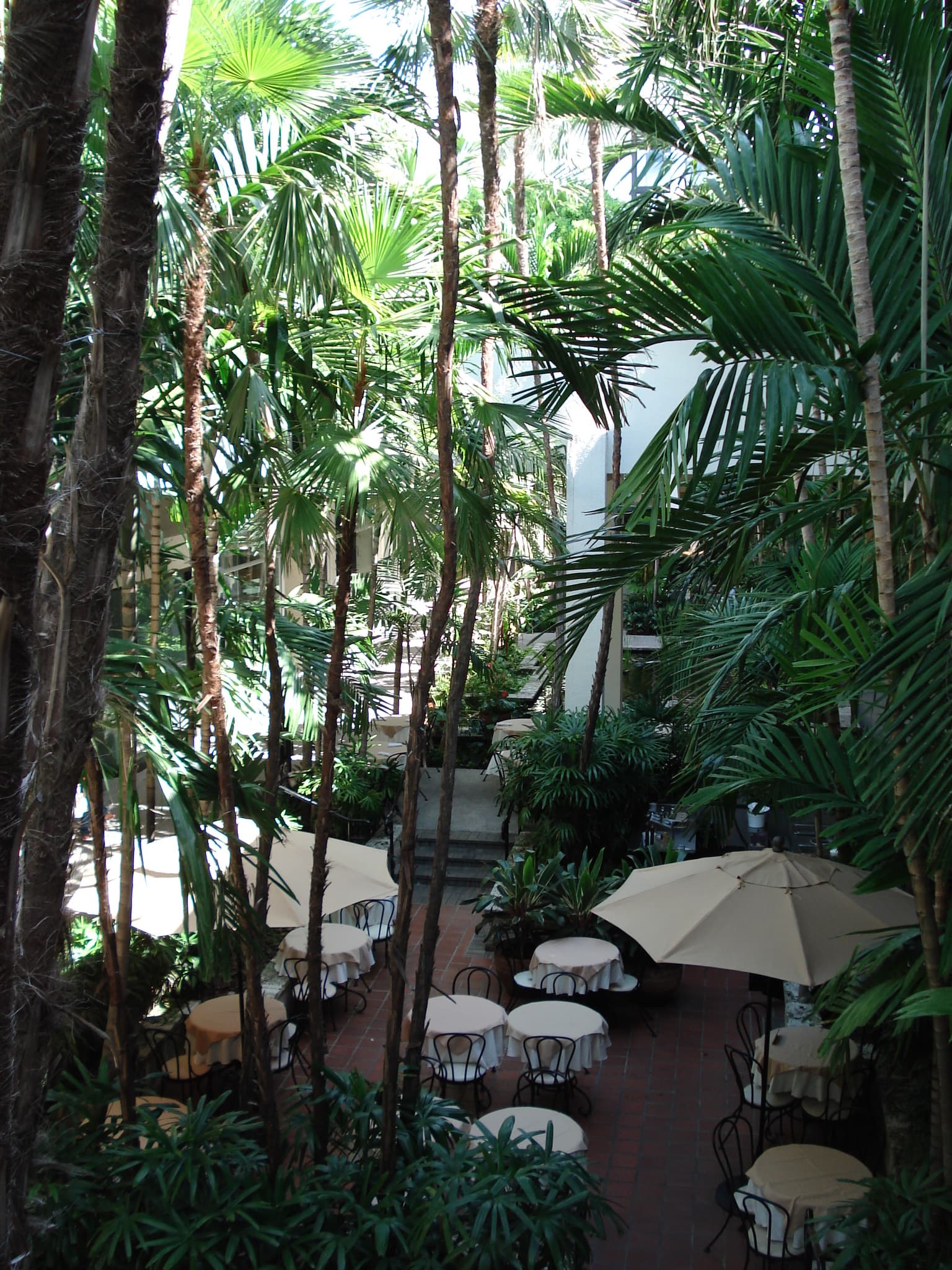 Café tables under the palm canopy in the Bal Harbour Shops courtyard