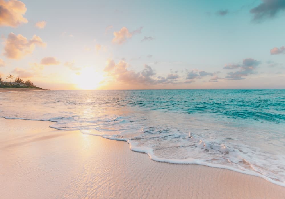 The Grande Oceanfront — beach