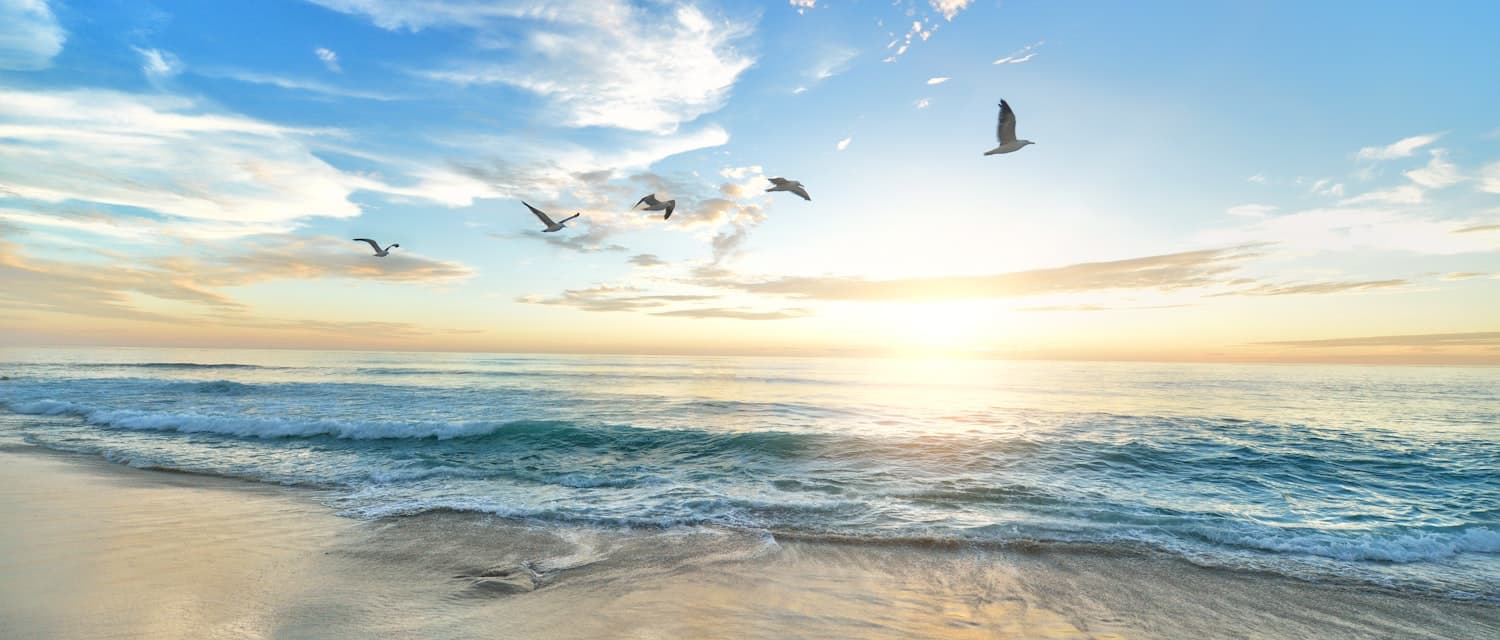 Wide Atlantic Ocean horizon from Bal Harbour Beach at sunrise